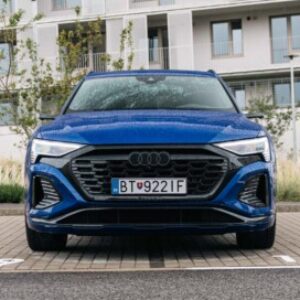 Logo skupiny Audi e-tron / Q8 e-tron